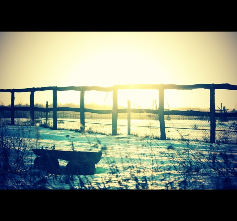 Week 1 Dallgow-Döberitzer Heide January 2011