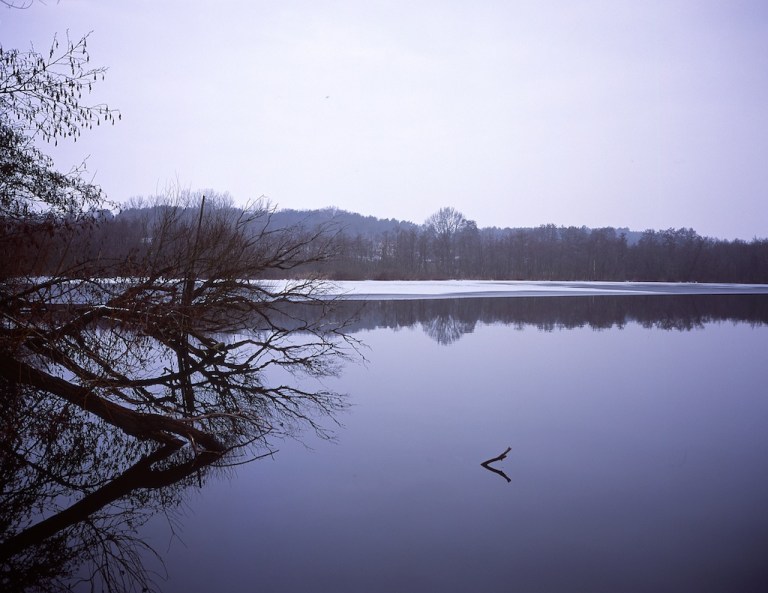 Week 6 - The End of Winter II