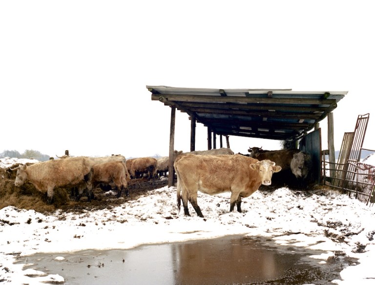 Week 7 - Promises, promises II