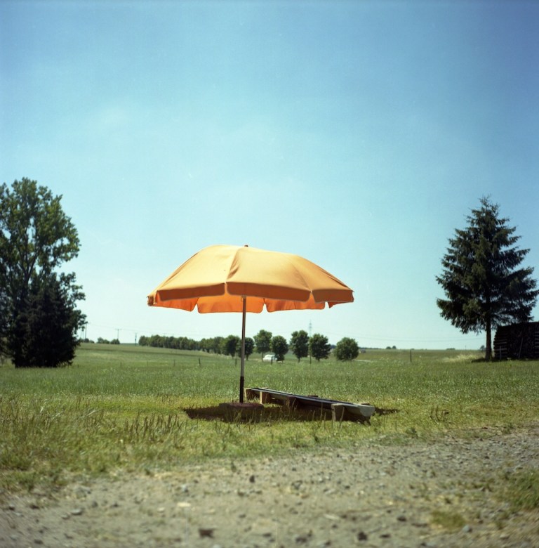 Week 23 - Christmas Dinner I