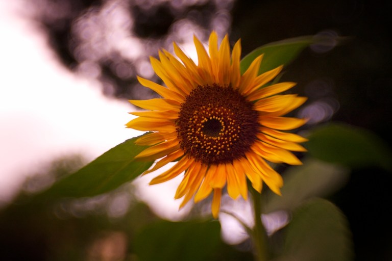 Week 24 - The Storm I