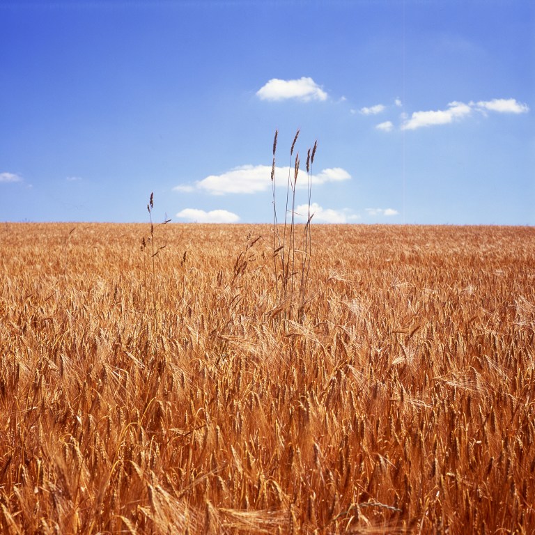 Week 27 - The Summer of 13' I