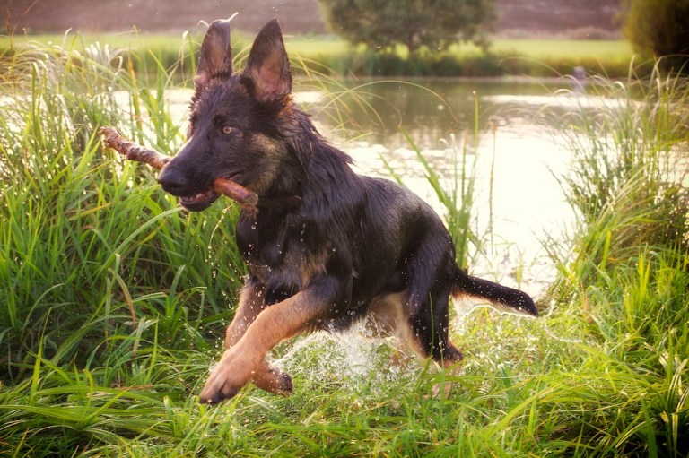 Week 31 - Wild Child…. a