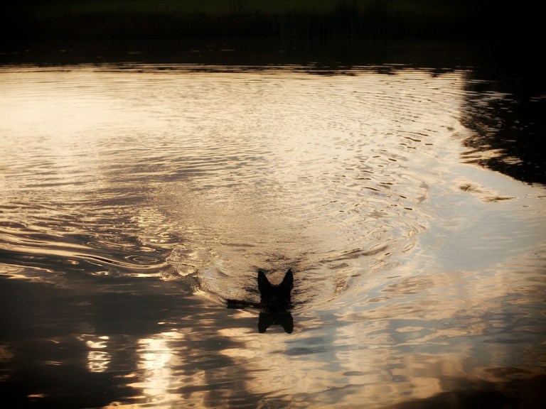 Week 31 - Wild Child…. II