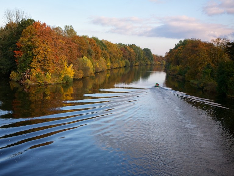 Week 36 - Autumn III