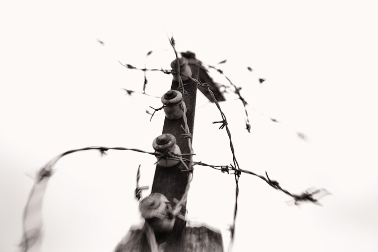 Week 40 - Dreilinden I