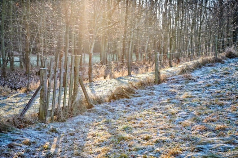 Week 49 - The Day After I