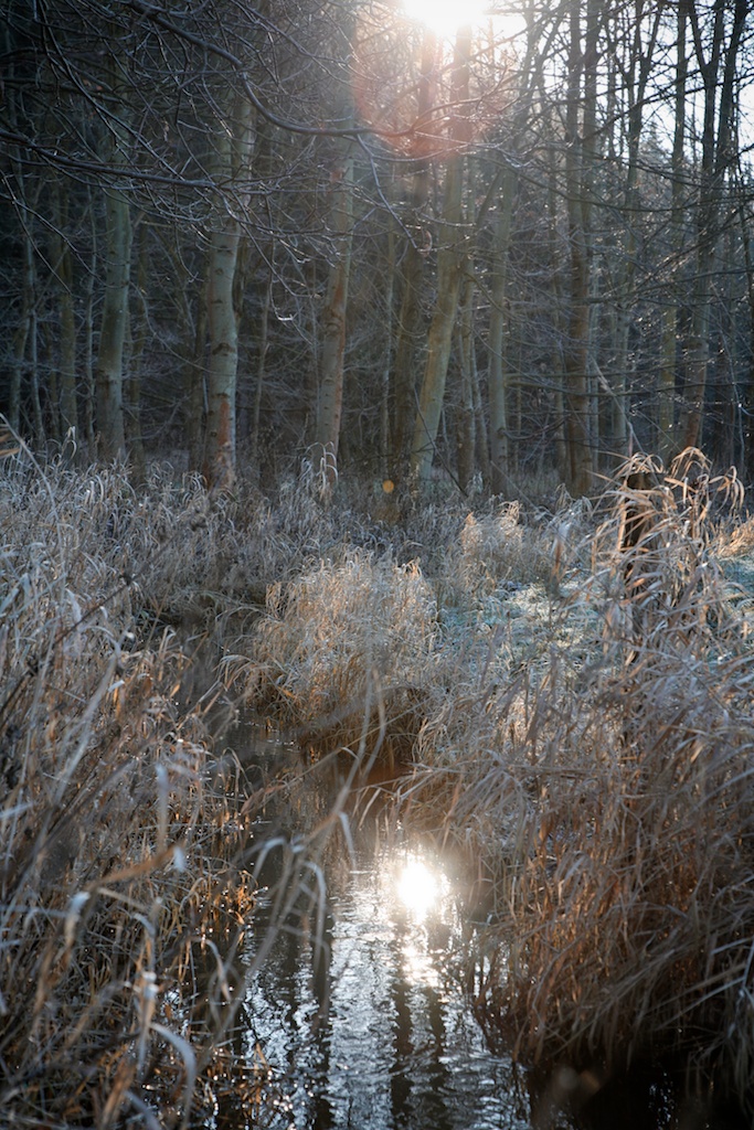 Week 49 - The Day After II