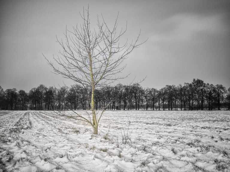 Bornstedt20160106-_DSF1734-Bearbeitet