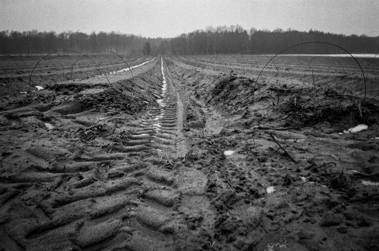 Week 3 - Schoenfeld 20160114