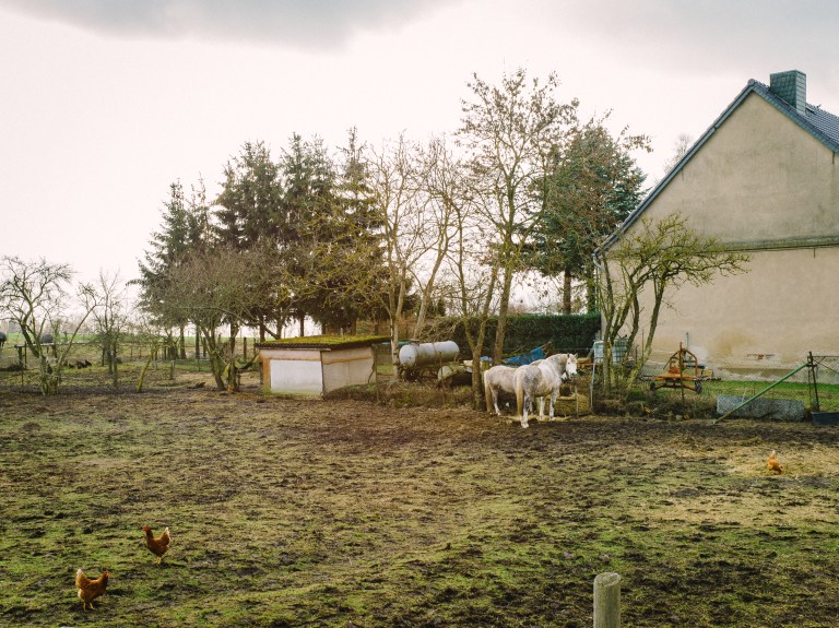 Week 5 - Gransee 20160131-2