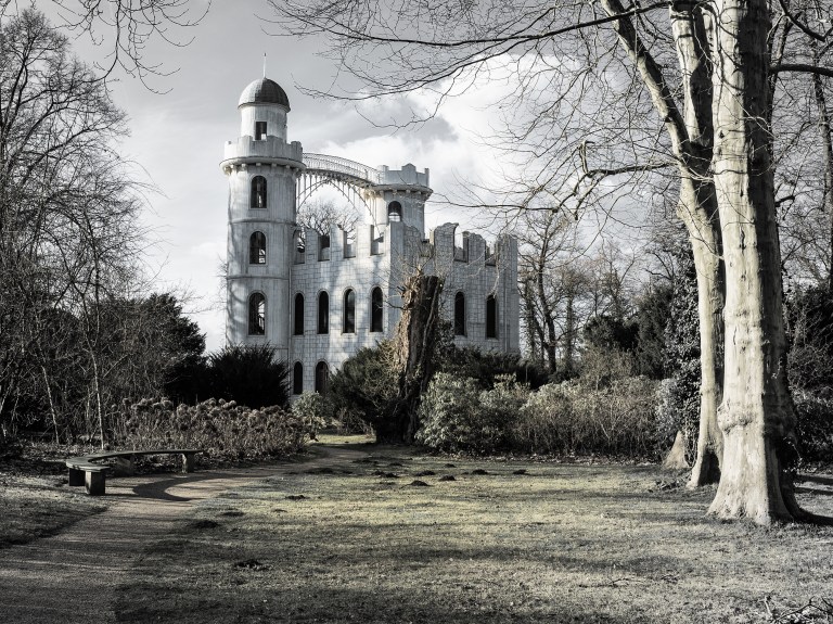 Week 6 - The PeacockL1054094-Bearbeitet