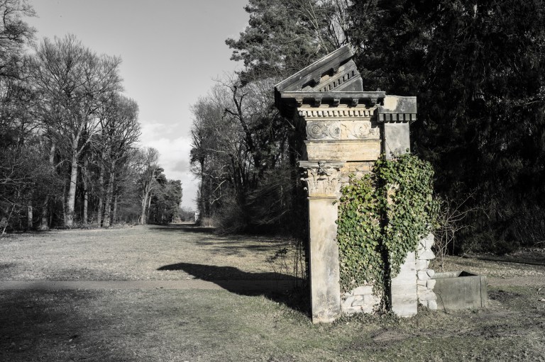 Week 6 - The PeacockL1054096-Bearbeitet