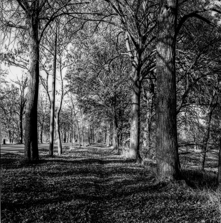 53weeks-org-2016-11-18-00562016