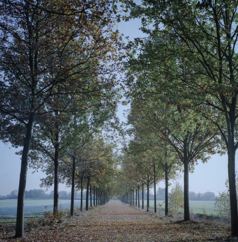 53weeks-org-2016-11-19-00652016