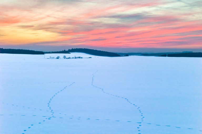 March 2017 53weeks.org-5